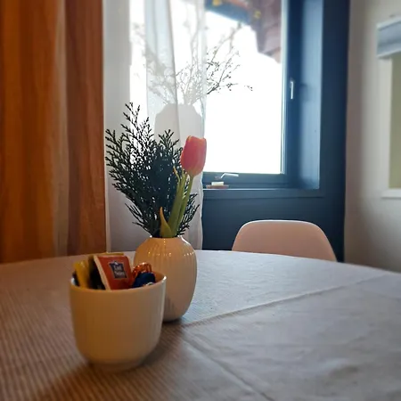 Tiny Homes Classic Apartment